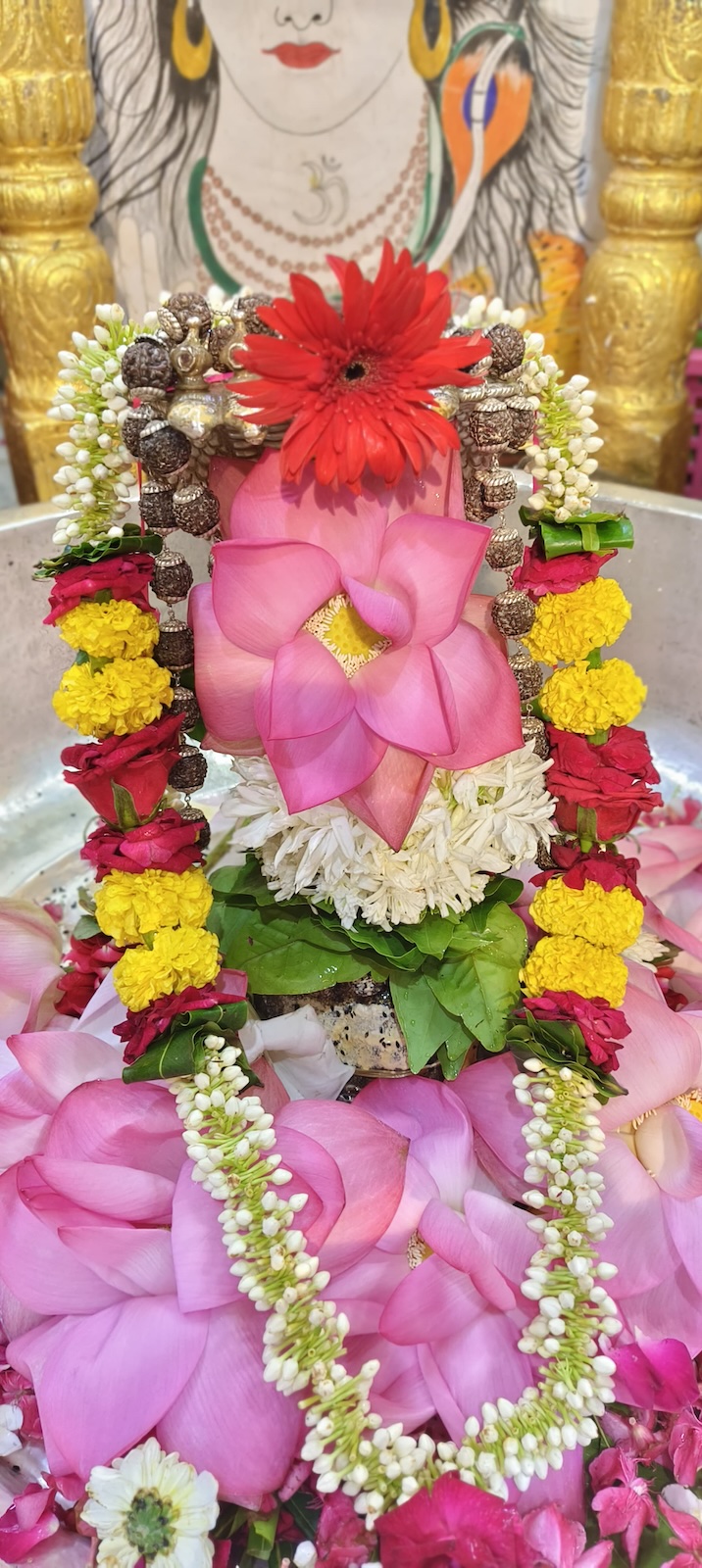 Rudrabhishek to Shree Kubereshwar Mahadev