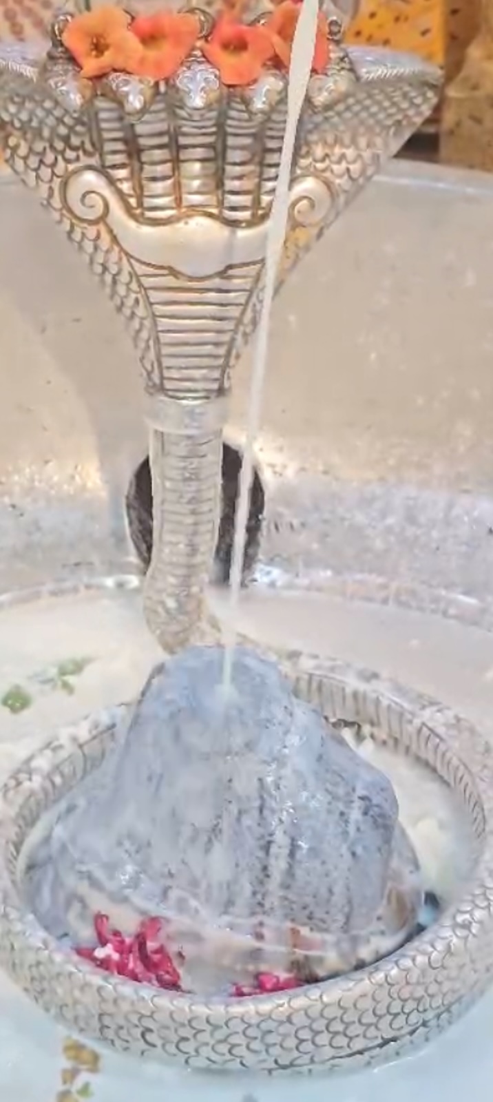 Rudrabhishek to Shree Kubereshwar Mahadev