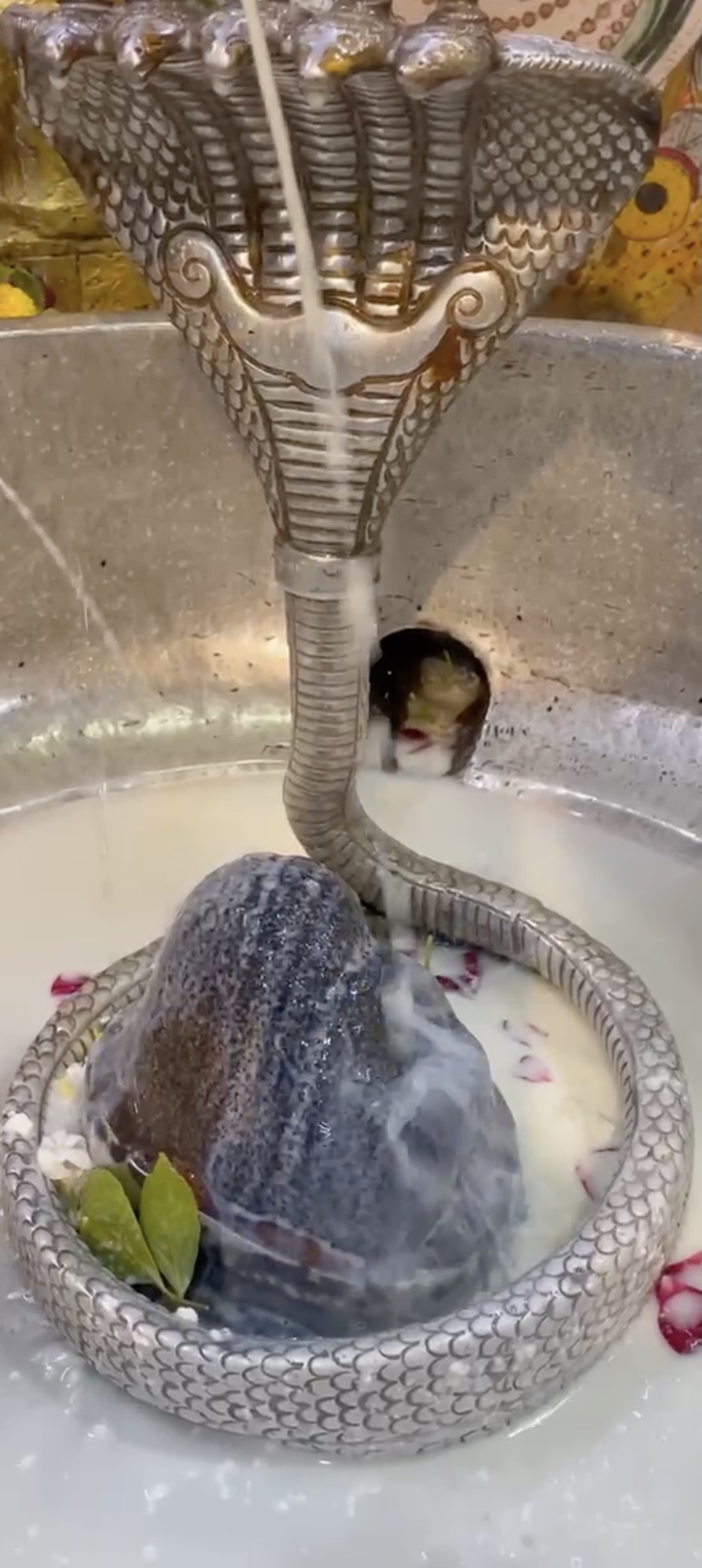 Rudrabhishek to Shree Kubereshwar Mahadev