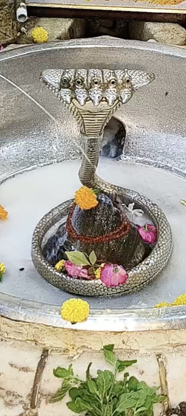 Rudrabhishek to Shree Kubereshwar Mahadev