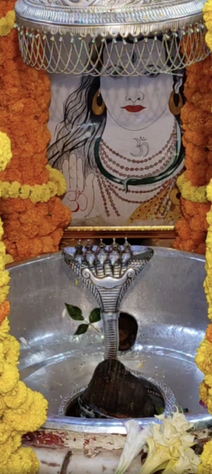 Rudrabhishek to Shree Kubereshwar Mahadev