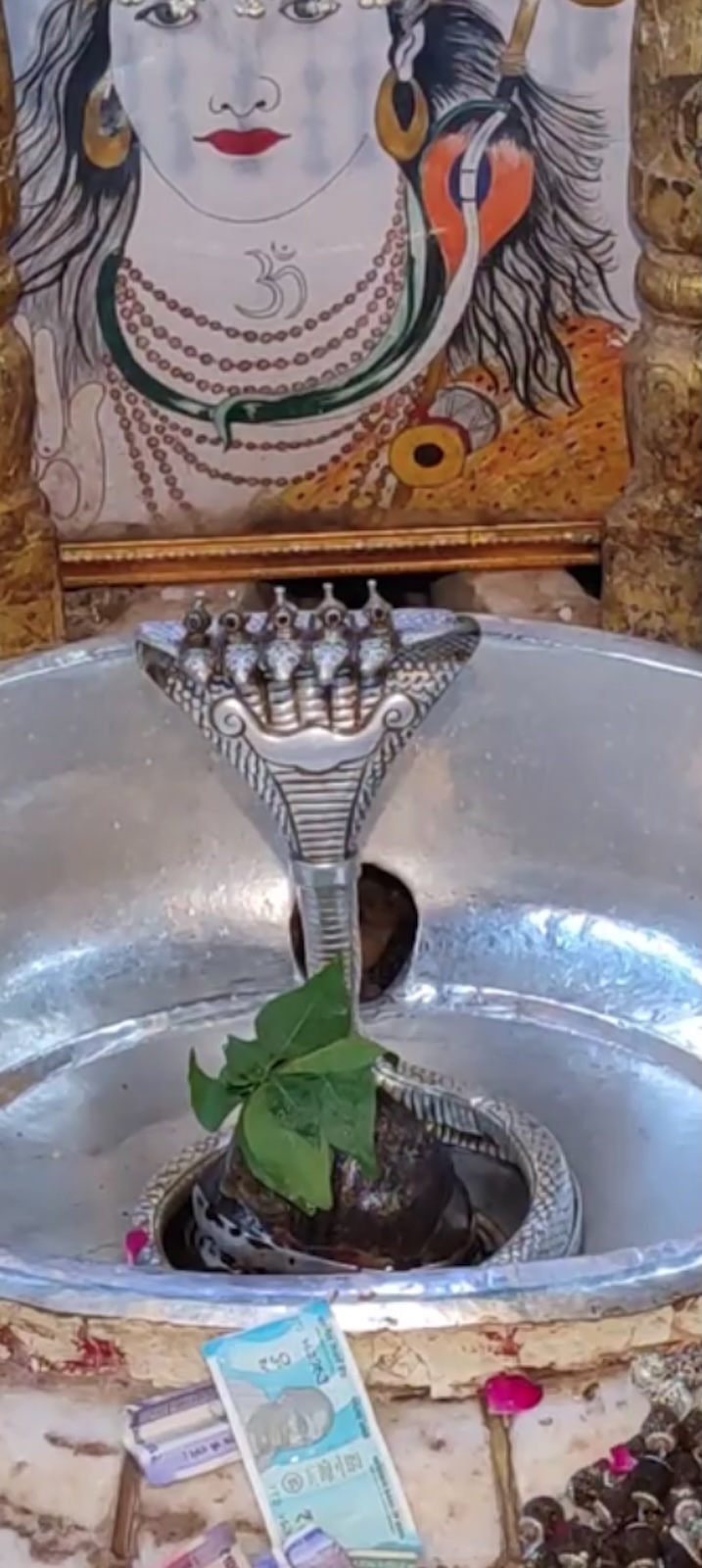 Rudrabhishek to Shree Kubereshwar Mahadev