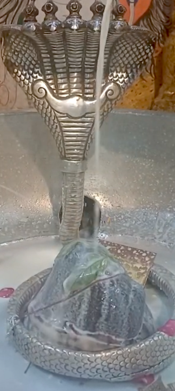 Rudrabhishek to Shree Kubereshwar Mahadev