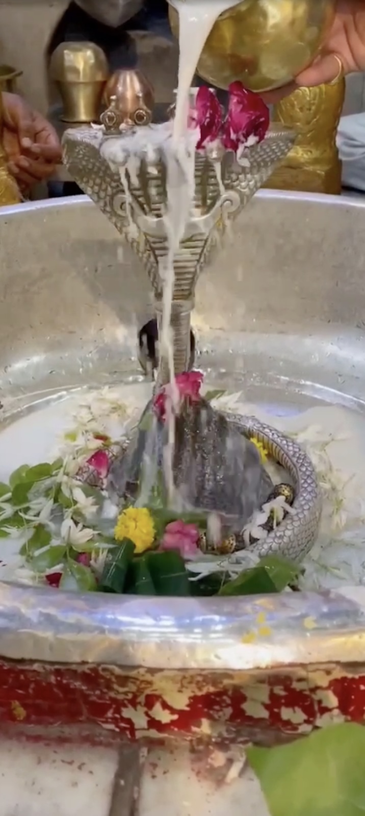 Rudrabhishek to Shree Kubereshwar Mahadev