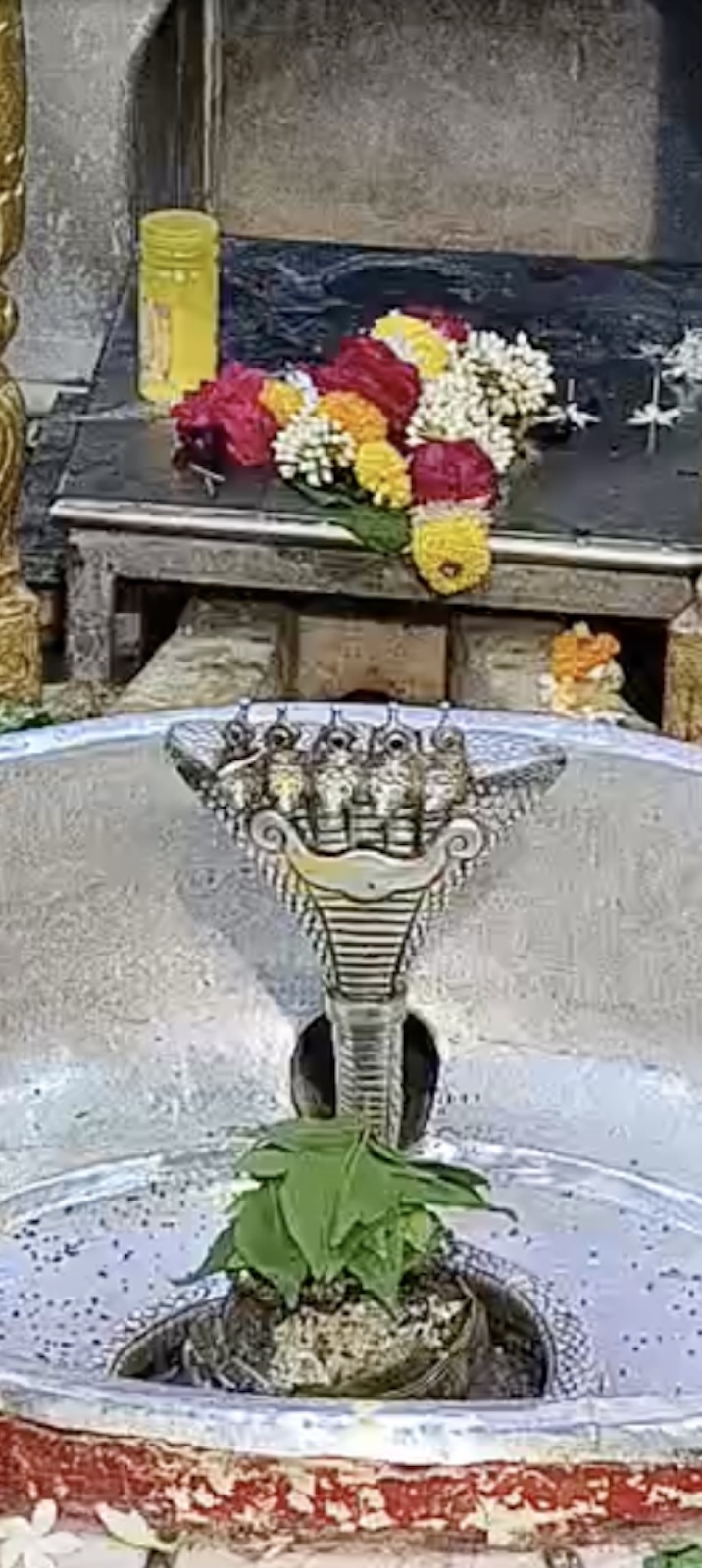 Rudrabhishek to Shree Kubereshwar Mahadev