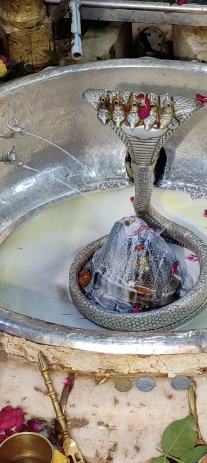 Rudrabhishek to Shree Kubereshwar Mahadev