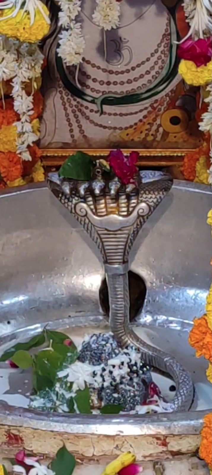Rudrabhishek to Shree Kubereshwar Mahadev