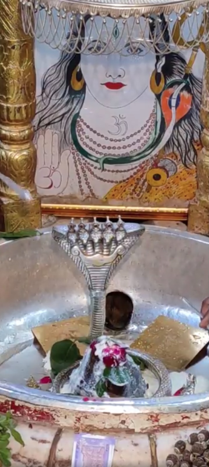 Rudrabhishek to Shree Kubereshwar Mahadev