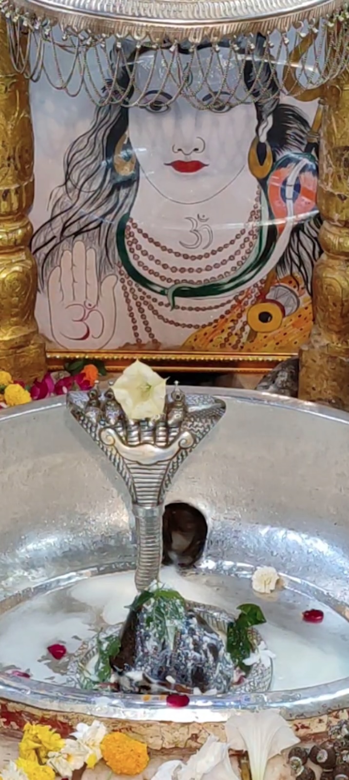 Rudrabhishek to Shree Kubereshwar Mahadev