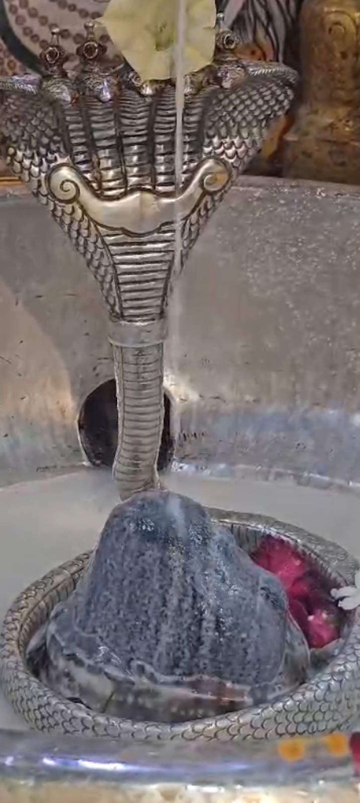 Rudrabhishek to Shree Kubereshwar Mahadev