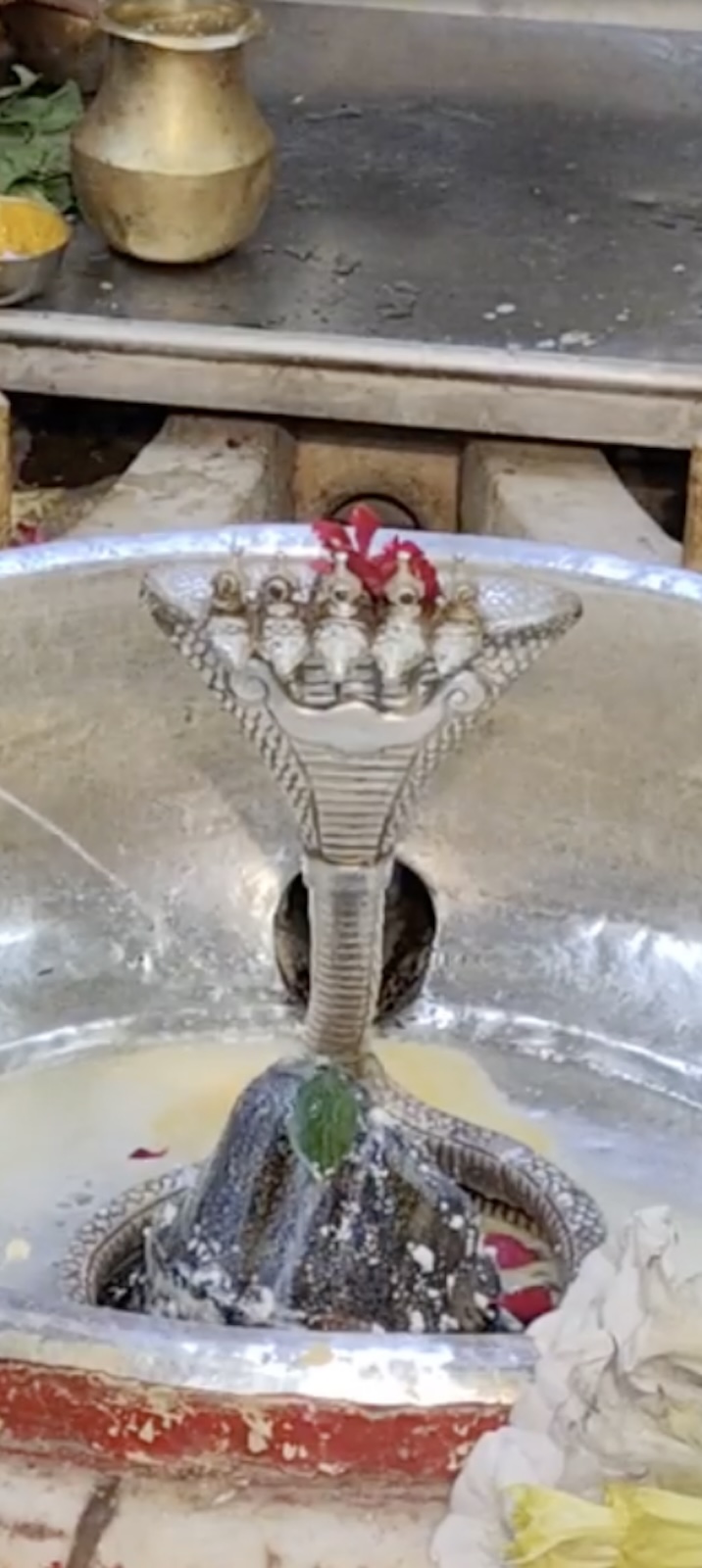 Rudrabhishek to Shree Kubereshwar Mahadev