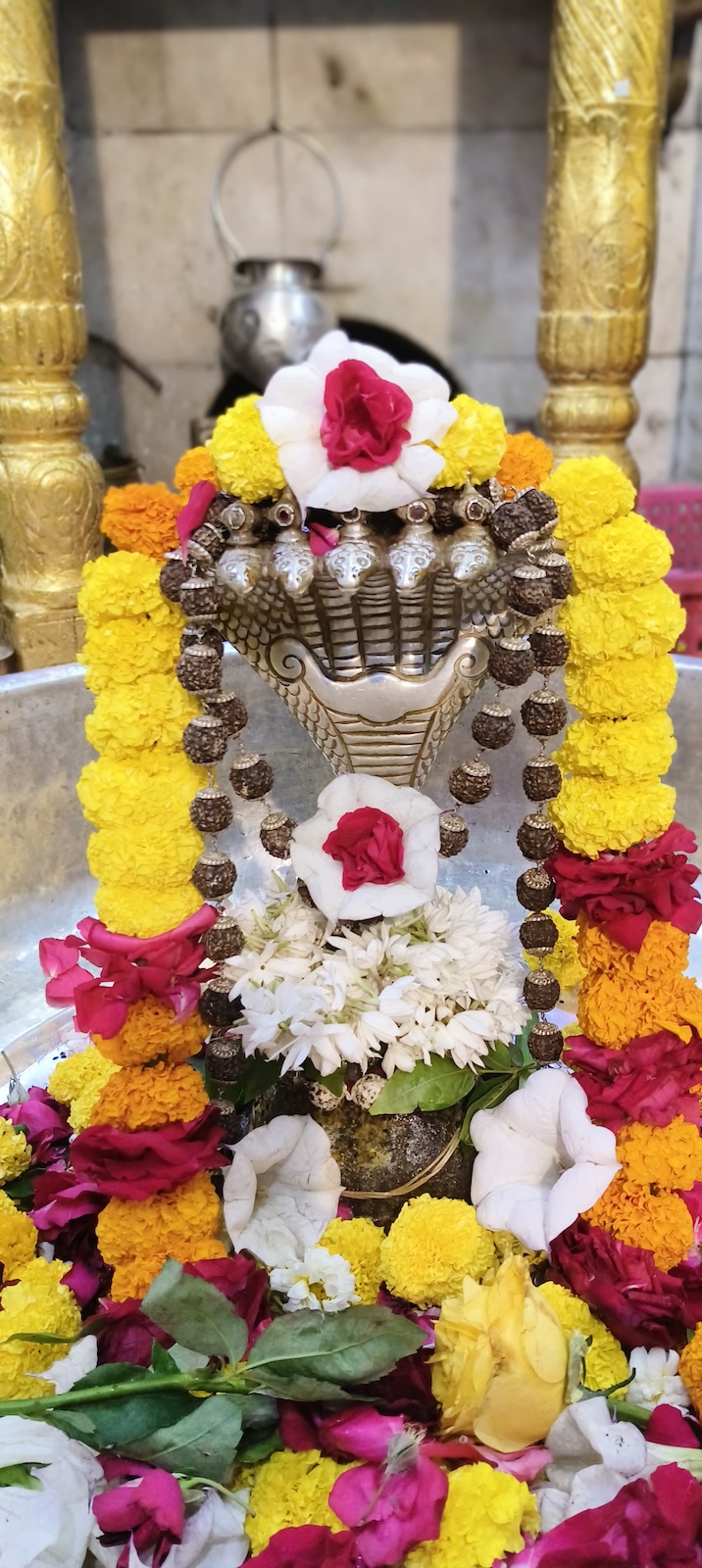 Rudrabhishek to Shree Kubereshwar Mahadev