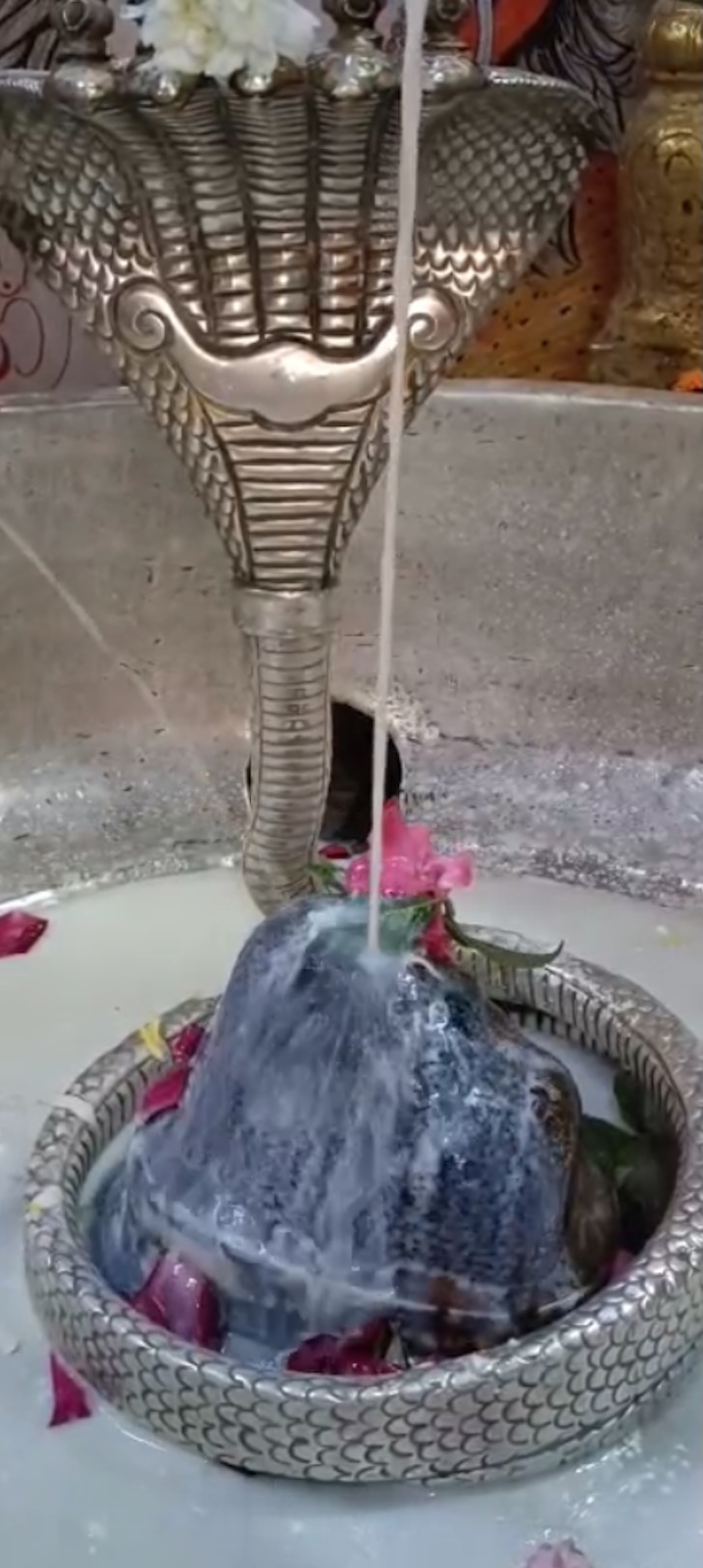 Rudrabhishek to Shree Kubereshwar Mahadev