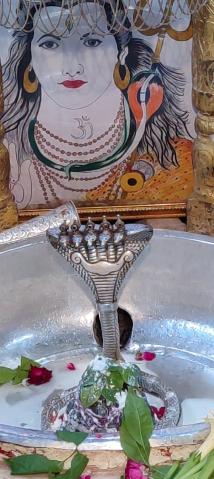 Rudrabhishek to Shree Kubereshwar Mahadev