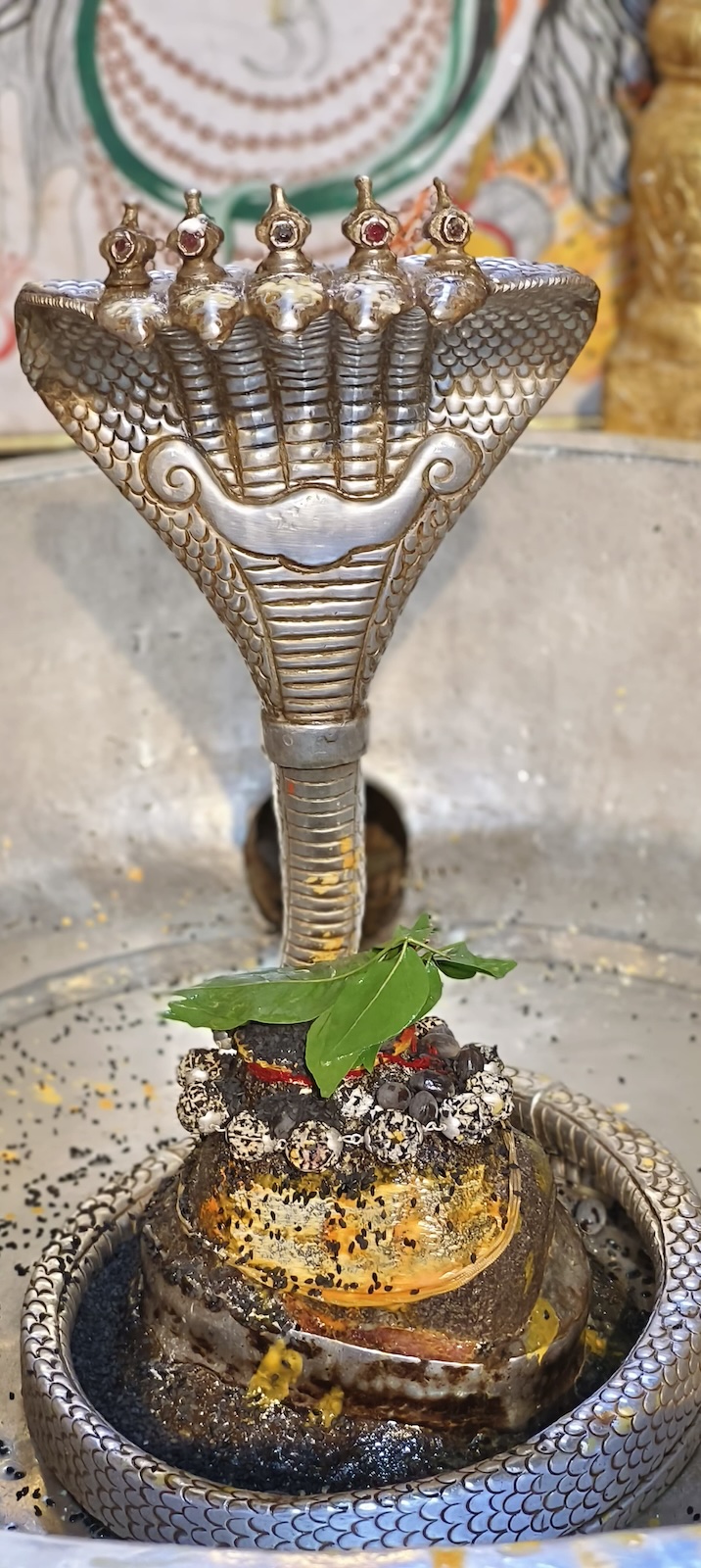Rudrabhishek to Shree Kubereshwar Mahadev