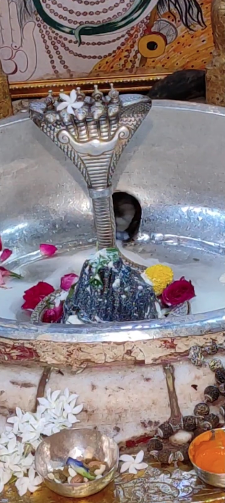 Rudrabhishek to Shree Kubereshwar Mahadev