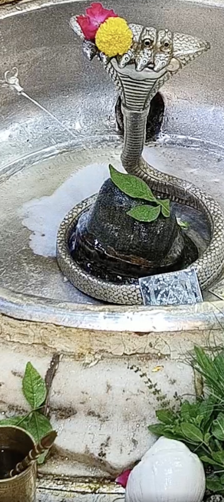 Rudrabhishek to Shree Kubereshwar Mahadev