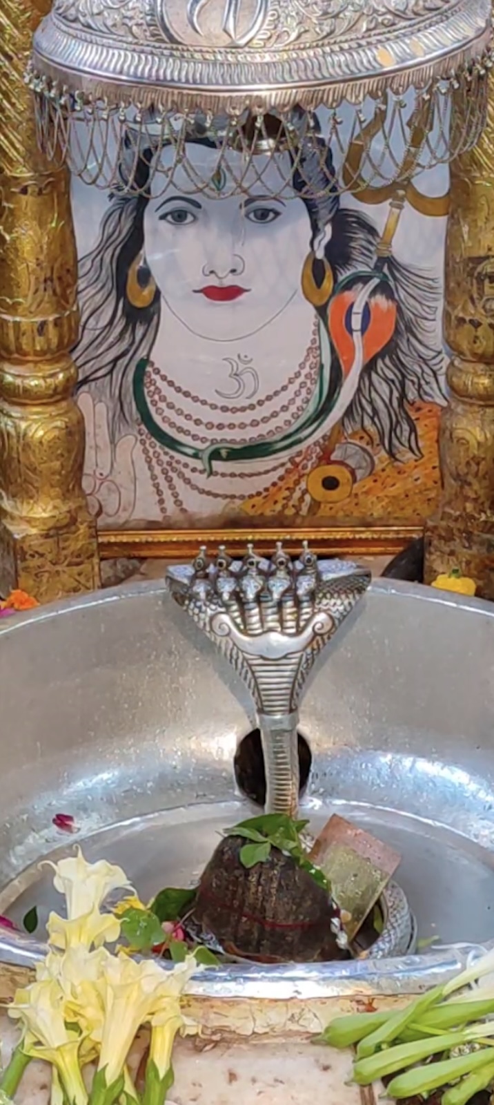Rudrabhishek to Shree Kubereshwar Mahadev