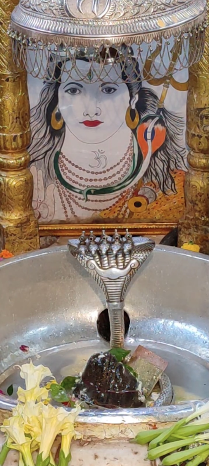 Rudrabhishek to Shree Kubereshwar Mahadev