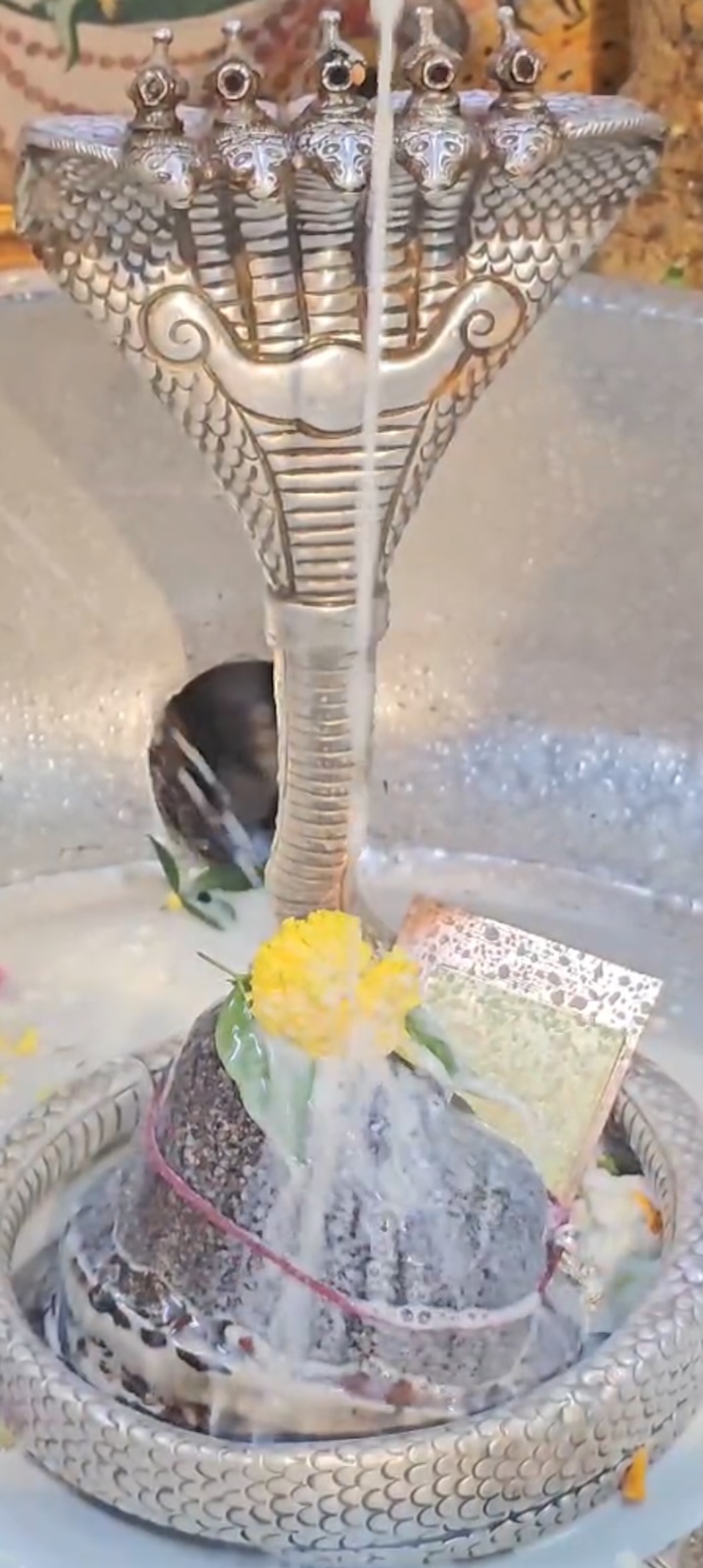 Rudrabhishek to Shree Kubereshwar Mahadev