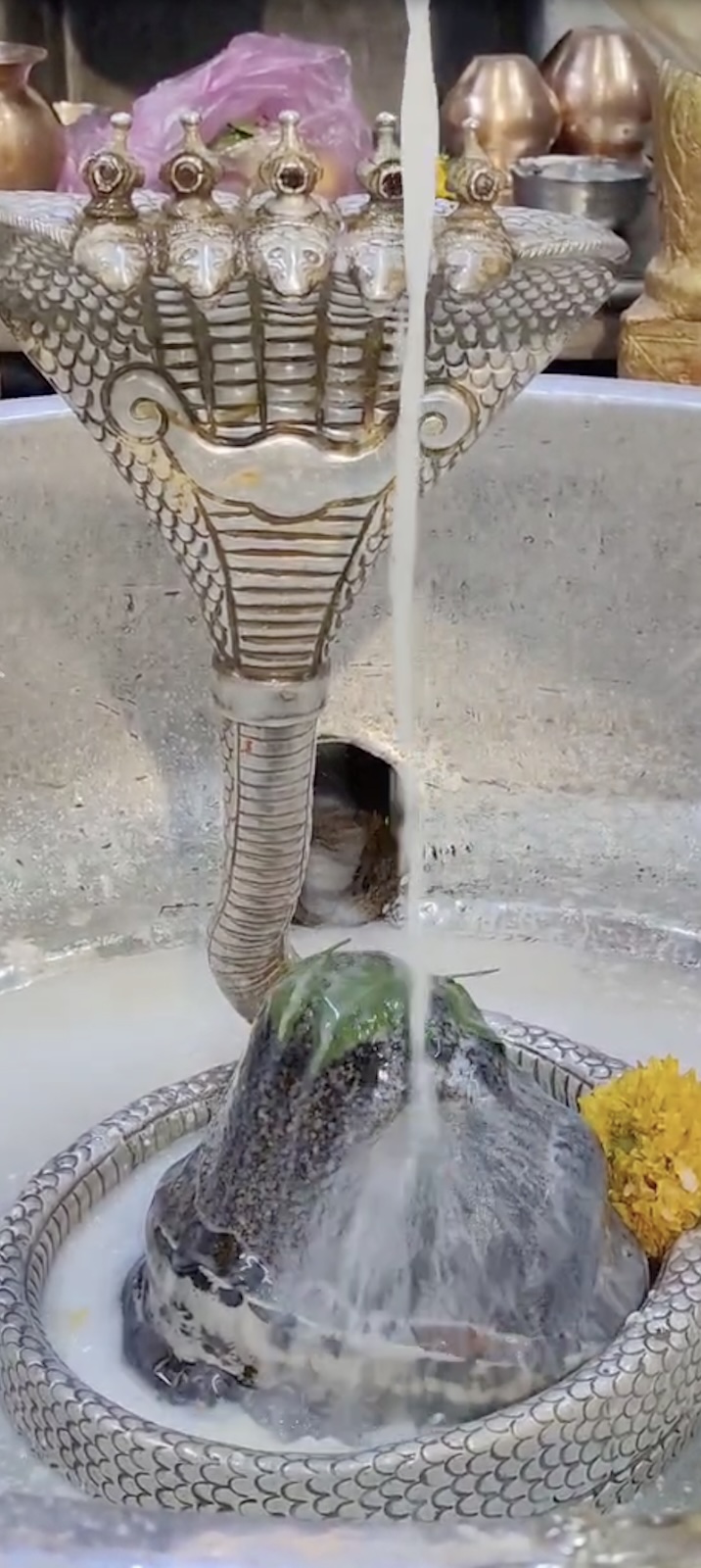 Rudrabhishek to Shree Kubereshwar Mahadev