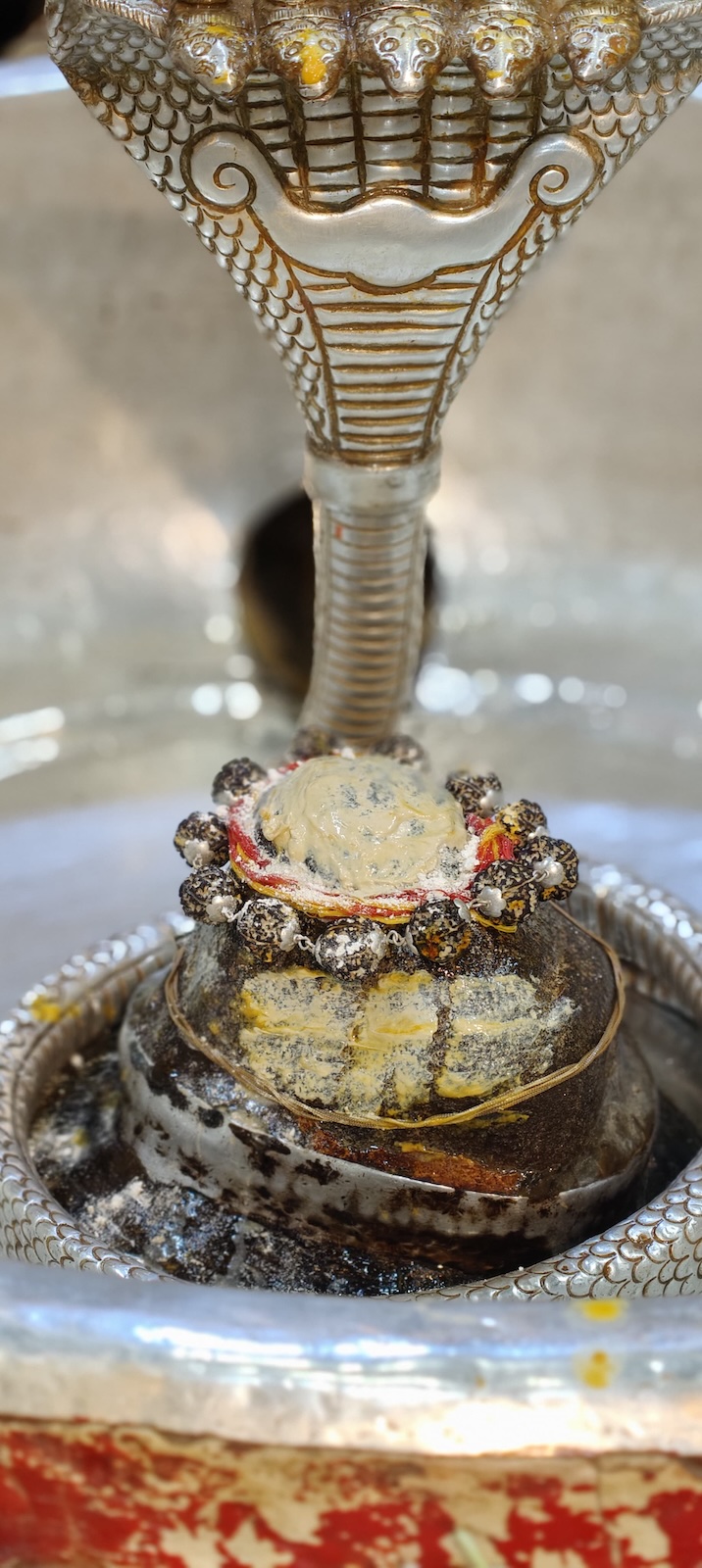 Rudrabhishek to Shree Kubereshwar Mahadev