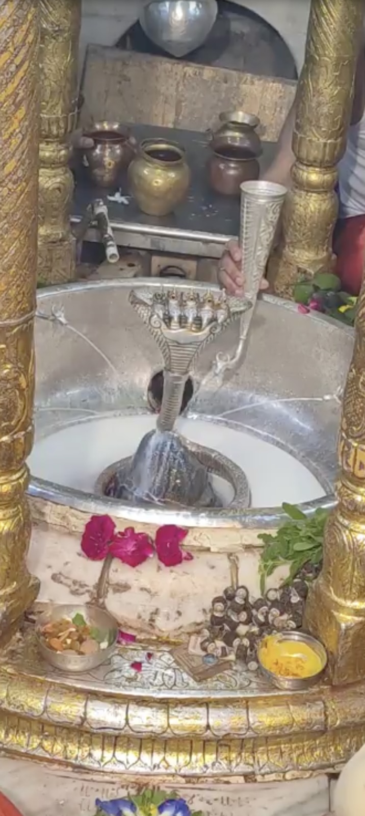 Rudrabhishek to Shree Kubereshwar Mahadev