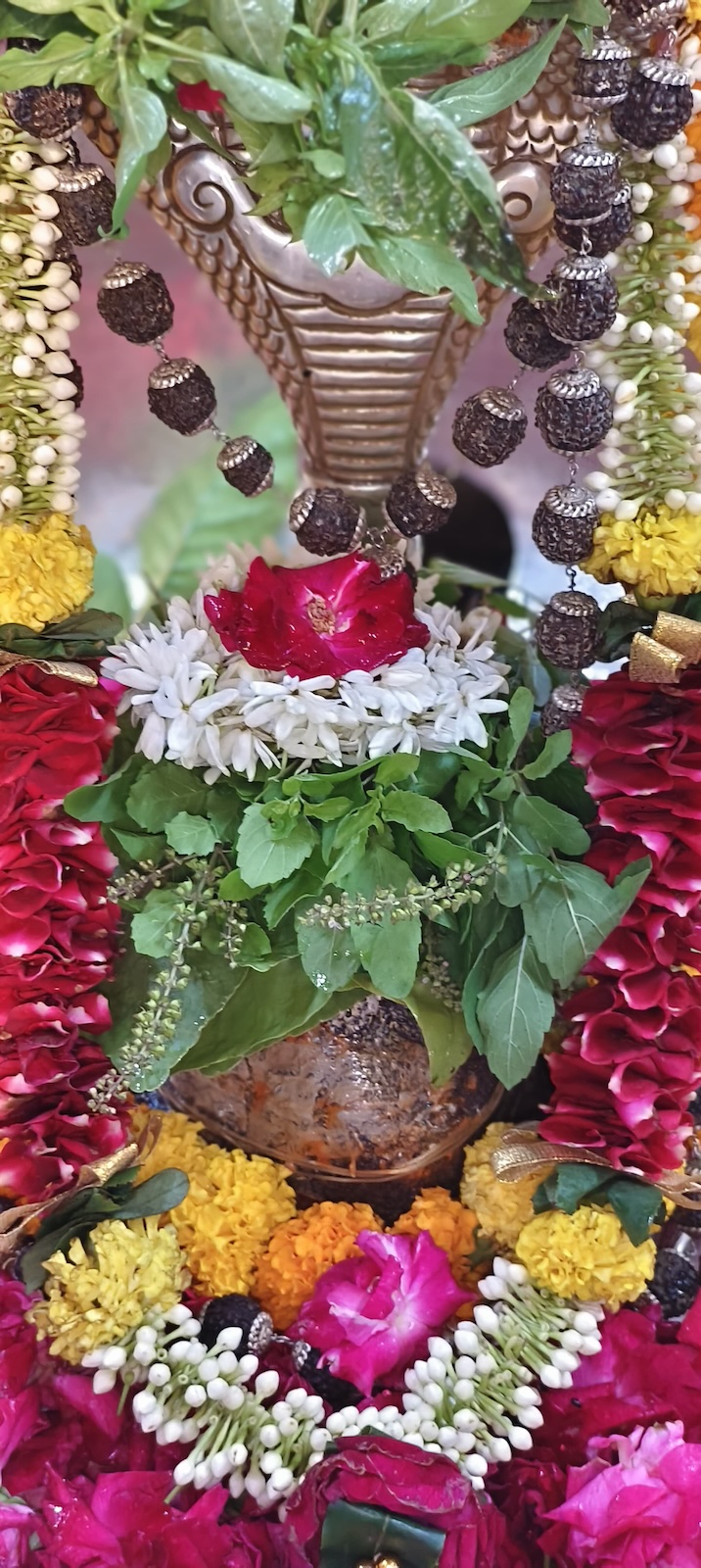 Rudrabhishek to Shree Kubereshwar Mahadev