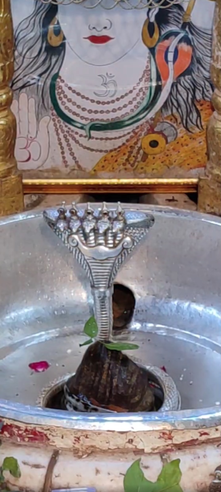 Rudrabhishek to Shree Kubereshwar Mahadev