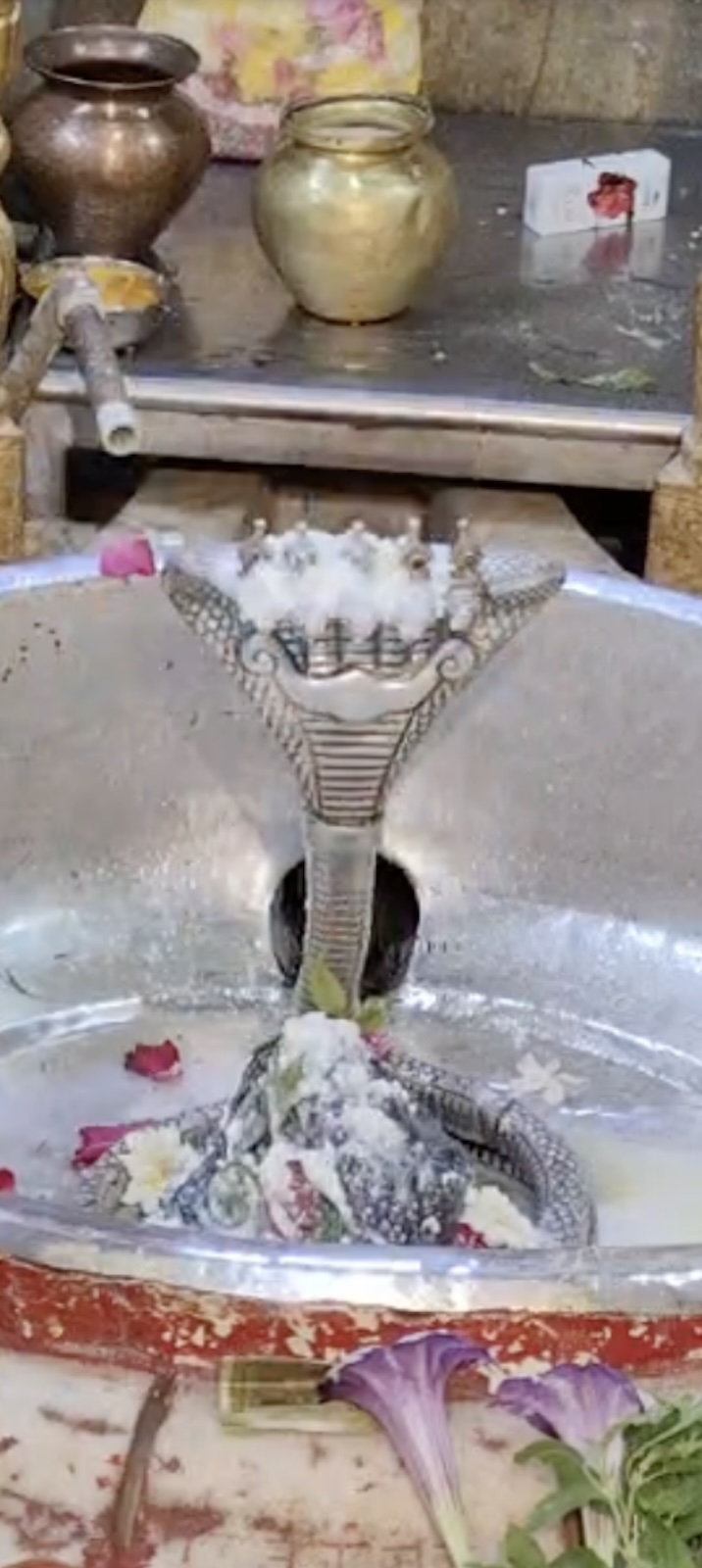 Rudrabhishek to Shree Kubereshwar Mahadev