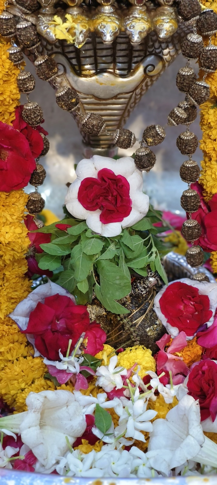 Shangar Darshan Shree Kubereshwar Mahadev