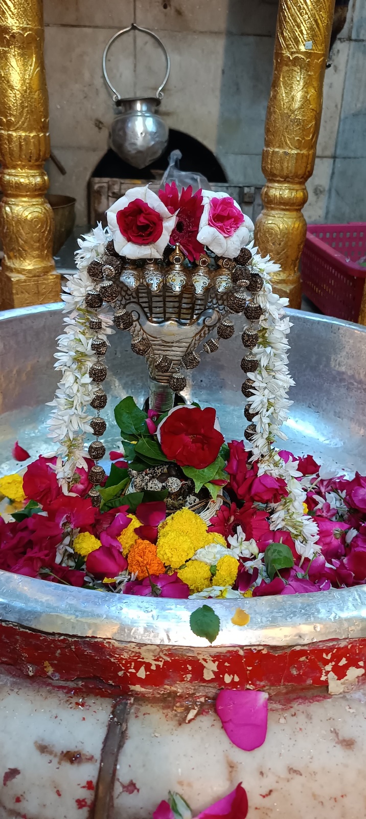 Rudrabhishek to Shree Kubereshwar Mahadev