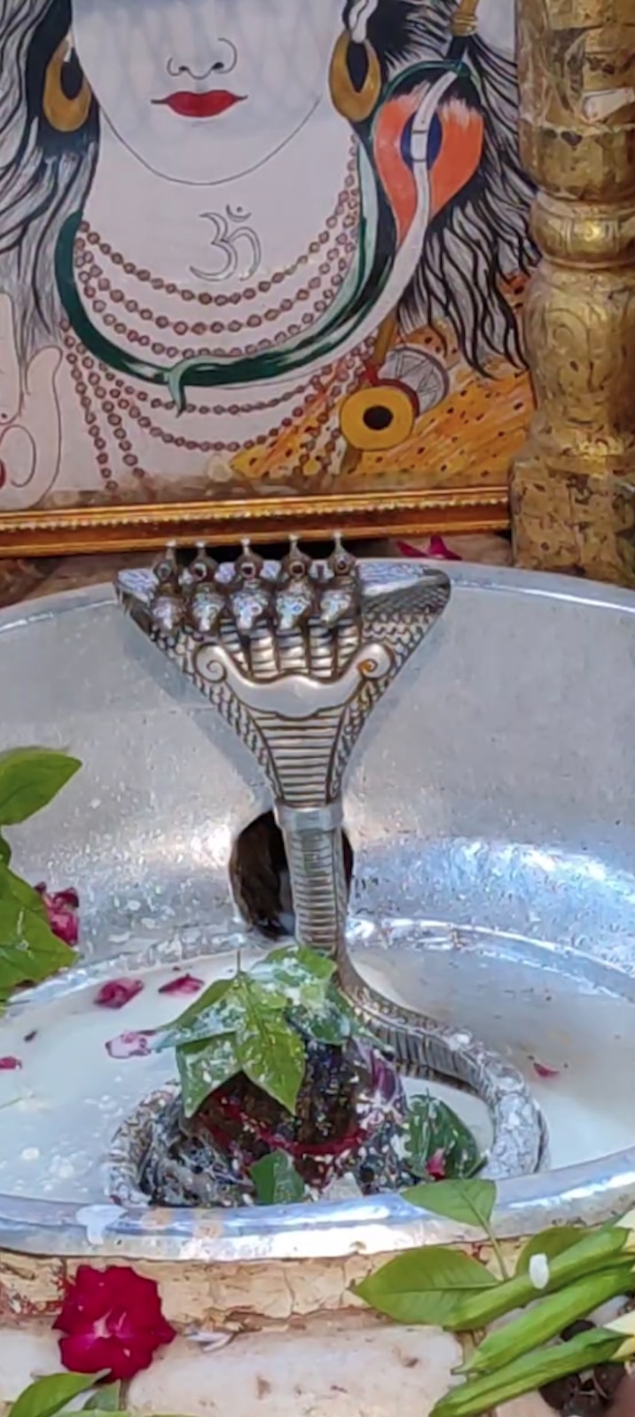 Rudrabhishek to Shree Kubereshwar Mahadev