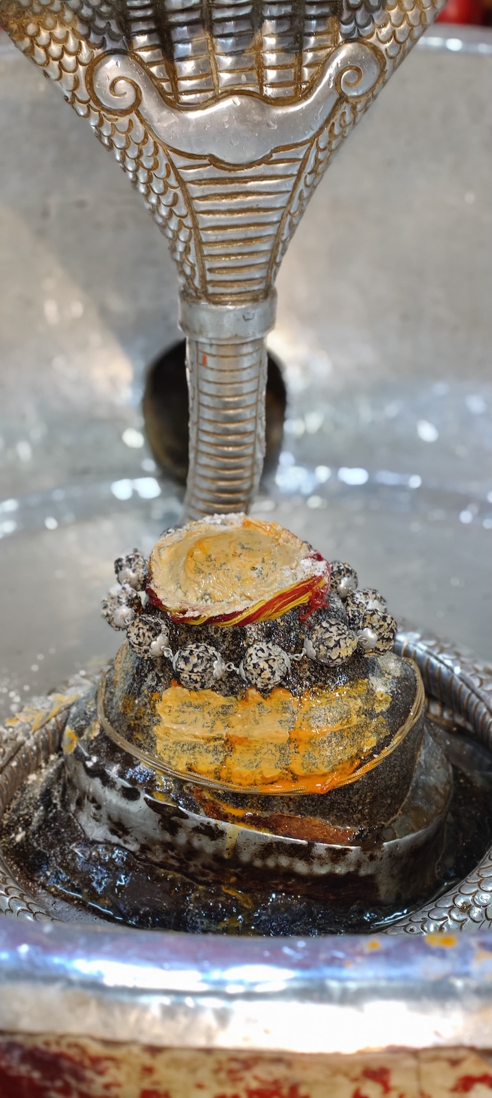 Rudrabhishek to Shree Kubereshwar Mahadev