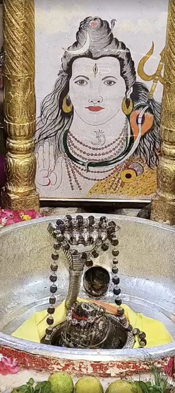 Rudrabhishek to Shree Kubereshwar Mahadev