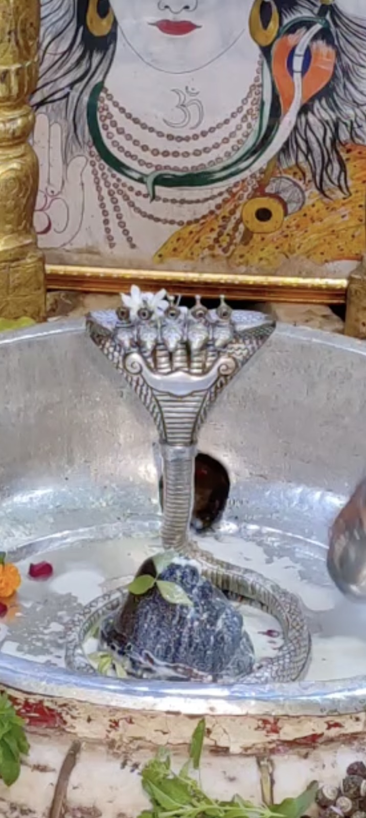 Rudrabhishek to Shree Kubereshwar Mahadev