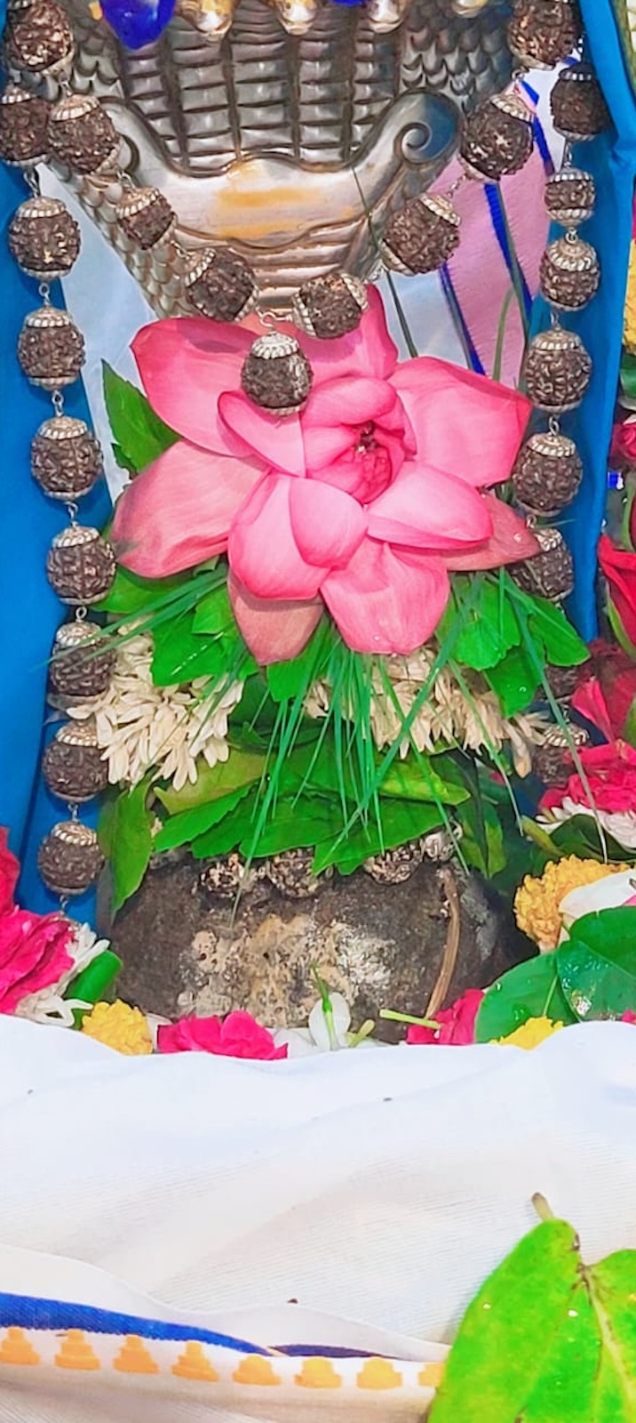 Shangar Darshan Shree Kubereshwar Mahadev