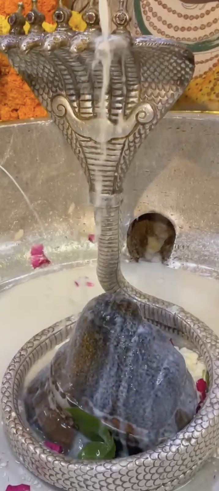 Rudrabhishek to Shree Kubereshwar Mahadev