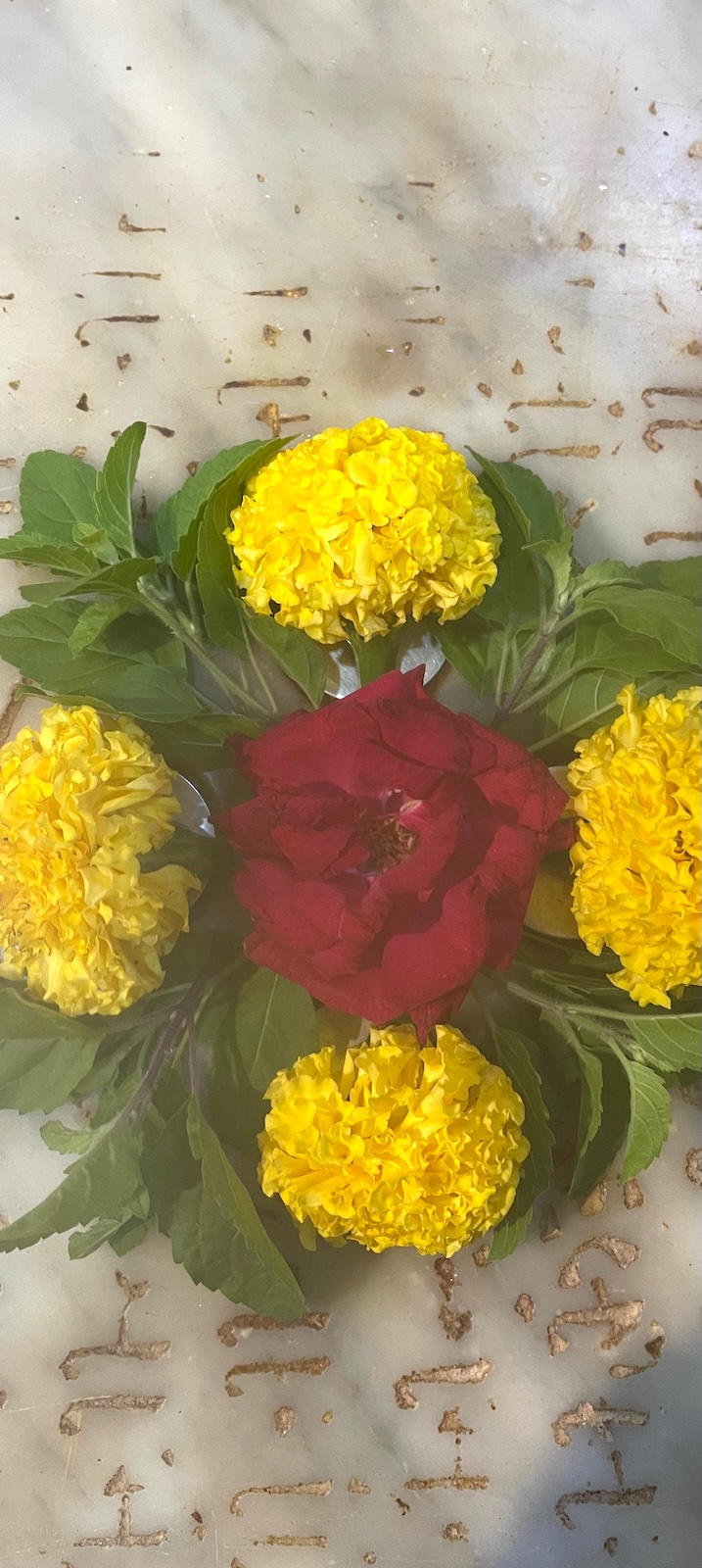 Mahalaxmi Mataji