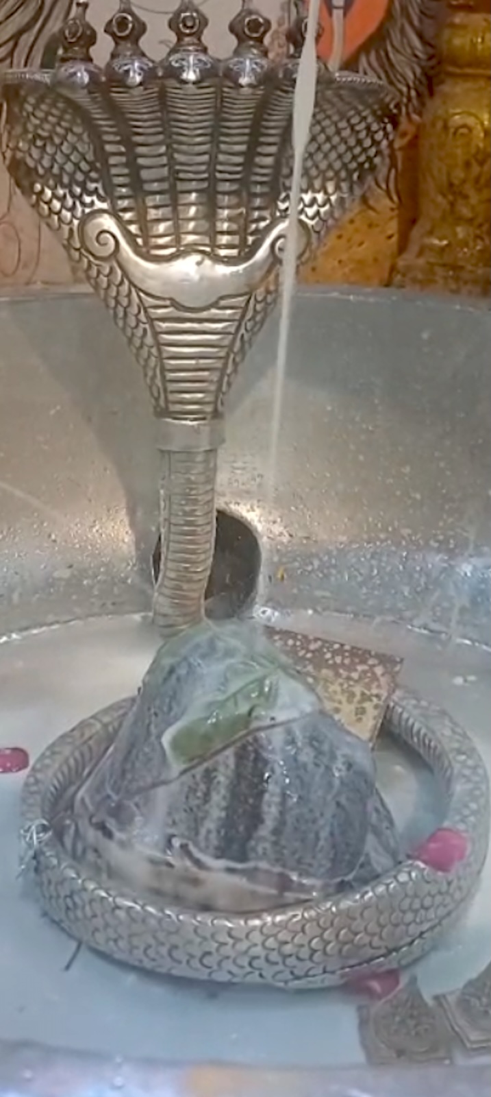 Rudrabhishek to Shree Kubereshwar Mahadev