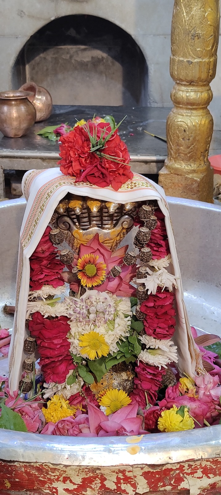 Rudrabhishek to Shree Kubereshwar Mahadev