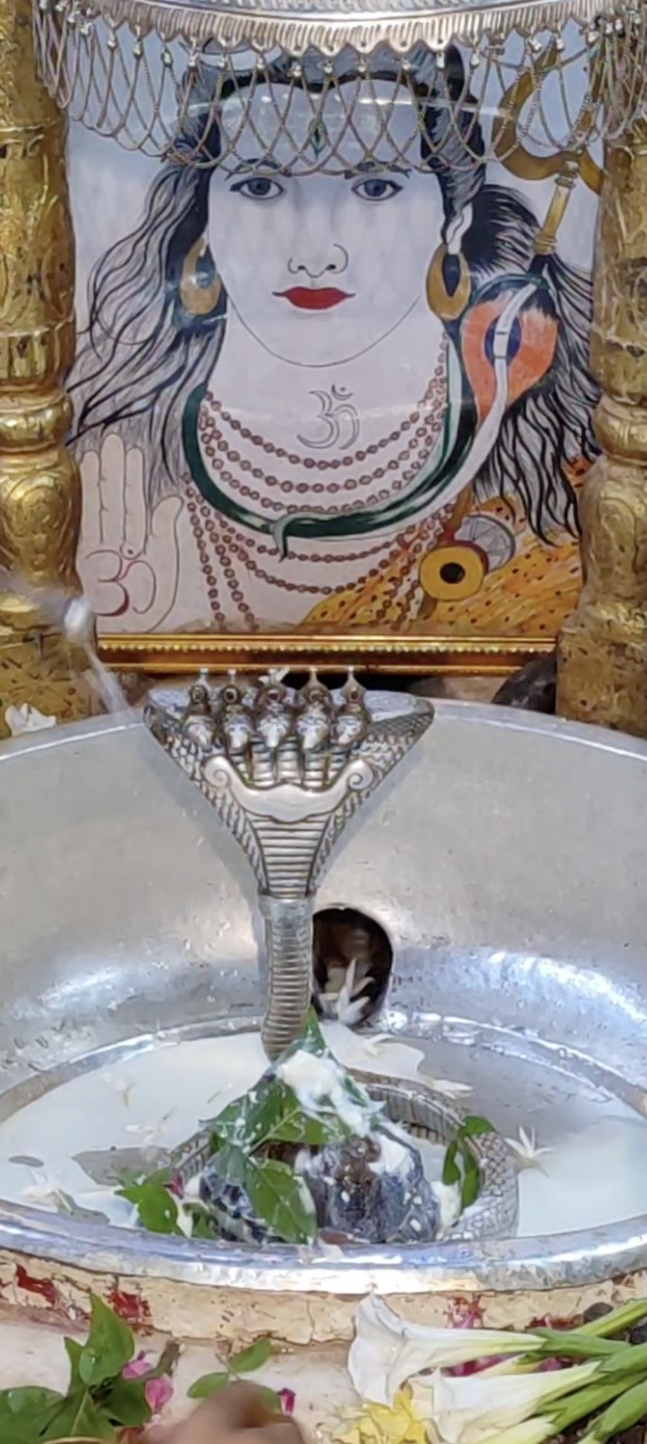 Rudrabhishek to Shree Kubereshwar Mahadev