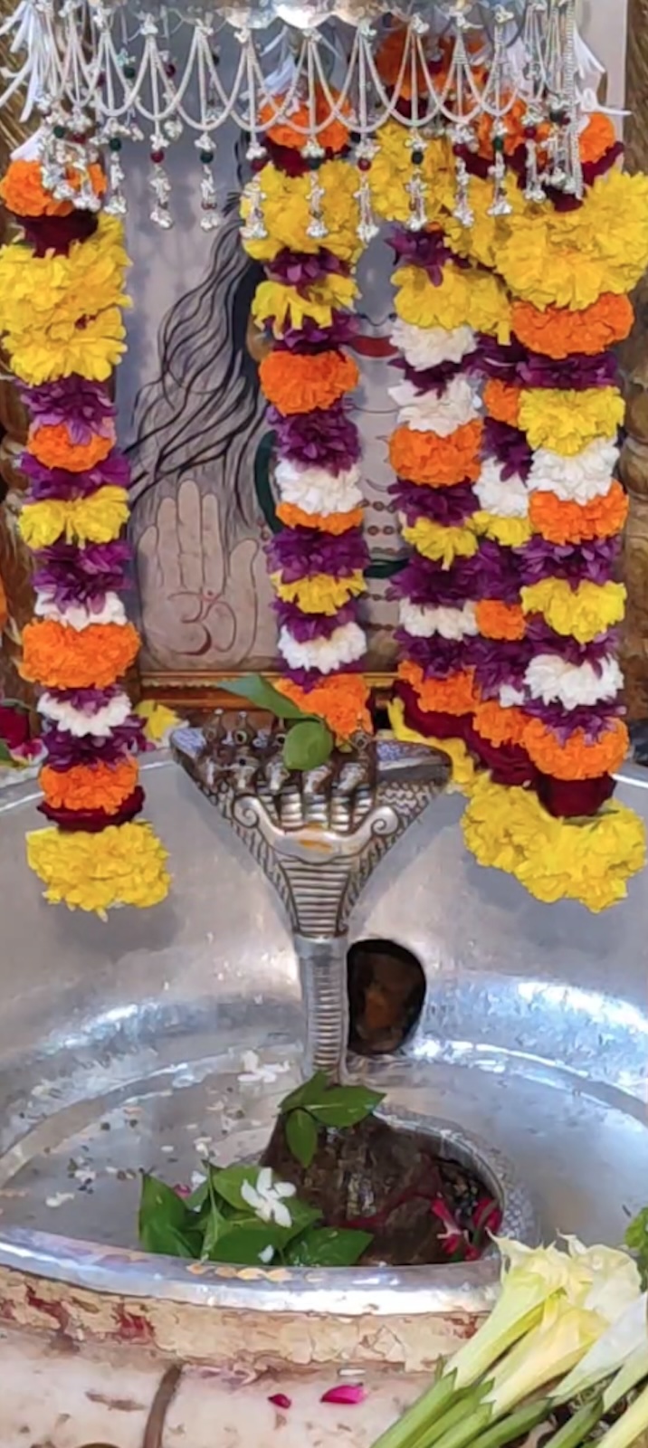 Rudrabhishek to Shree Kubereshwar Mahadev