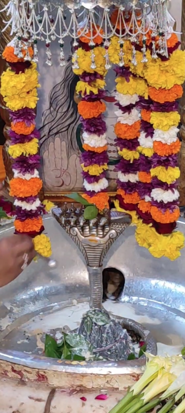 Rudrabhishek to Shree Kubereshwar Mahadev