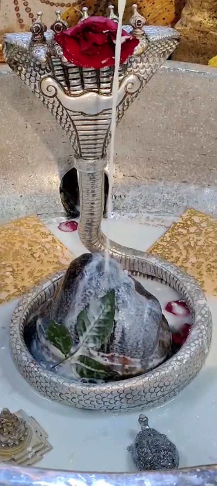 Rudrabhishek to Shree Kubereshwar Mahadev