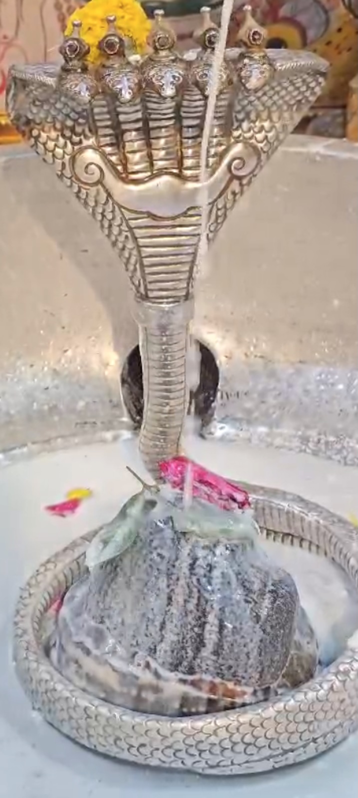 Rudrabhishek to Shree Kubereshwar Mahadev