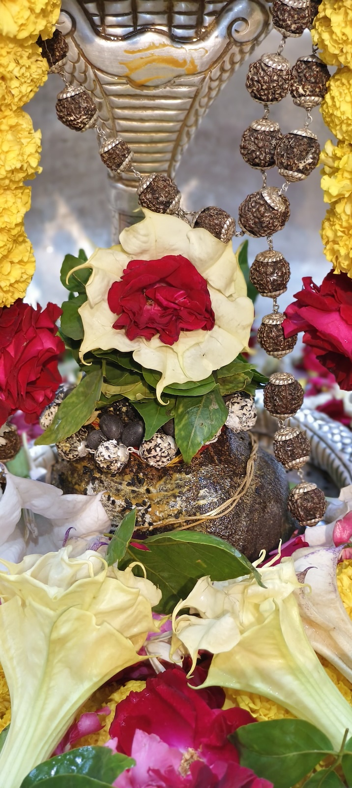 Rudrabhishek to Shree Kubereshwar Mahadev