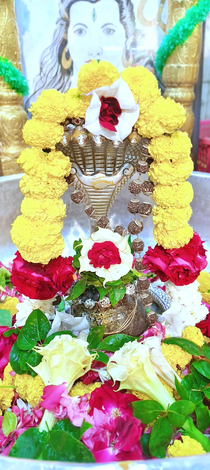 Rudrabhishek to Shree Kubereshwar Mahadev