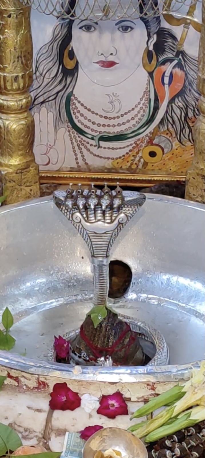 Rudrabhishek to Shree Kubereshwar Mahadev
