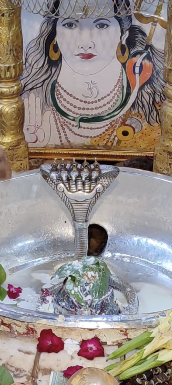 Rudrabhishek to Shree Kubereshwar Mahadev